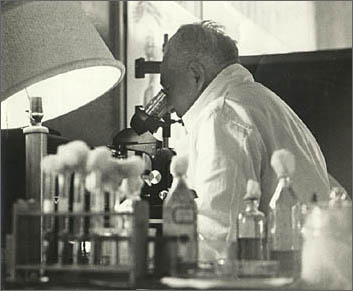 Wilhelm Reich Wilhelm Reich